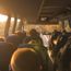 Why group tours are here to stay