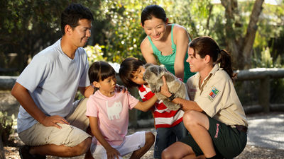 Chan Brothers spotlights educational experiences for families