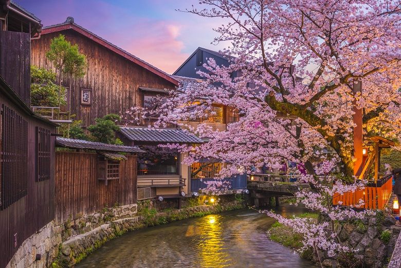 Japan is a land of colour, culture and unforgettable experiences