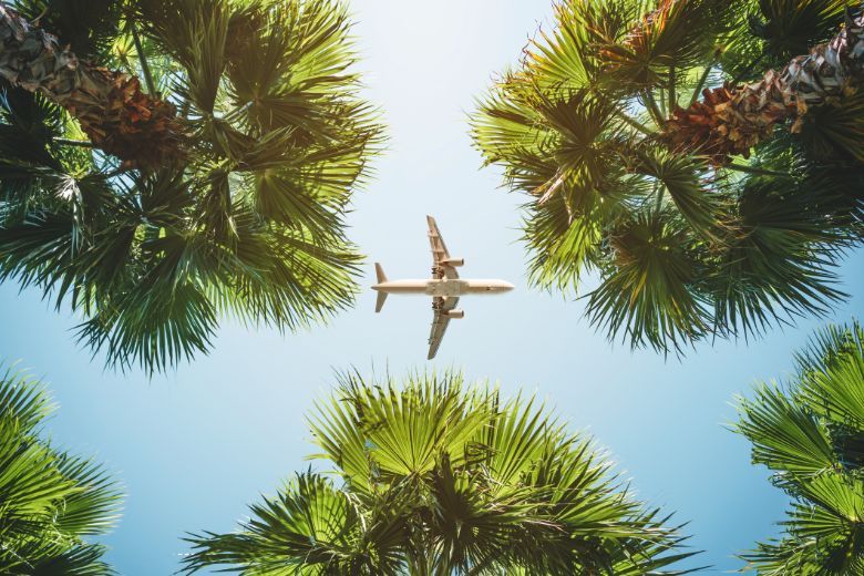 To fly or not to fly? A travel agent can be your best friend in times of crisis