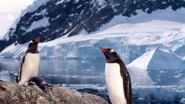 Atlas' new Semester at Sea summer programme allows travel advisors to learn first-hand about the cruise line's luxe-adventure experiences, with sailing itineraries including various destinations such as the Arctic, Greenland and Iceland.