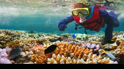Australia’s Great Barrier Reef is attracting Indian female divers.