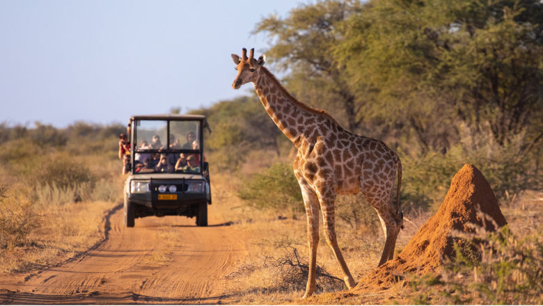 Cox & Kings offers curated travel experiences across Africa, Egypt, Peru, and Jordan, incorporating safari lodges, riverboats, and philanthropic projects through A&K Philanthropy.