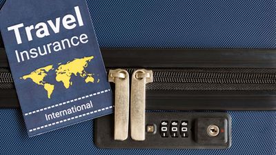 Expedia saw 16% revenue growth in travel insurance.
