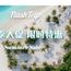 FlashTrip launches English platform as part of APAC expansion