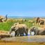 South Africa’s Indaba goes ahead with new date