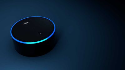 The Amazon Echo