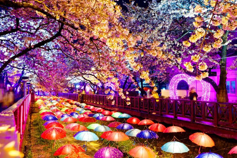 South Korea has attracted more than 25,000 visitors for the year till August, a 21.5% rise compared to the same period in 2018.