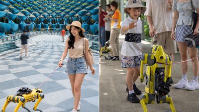 Visitors may book a complimentary robodog guide session at Sentosa.