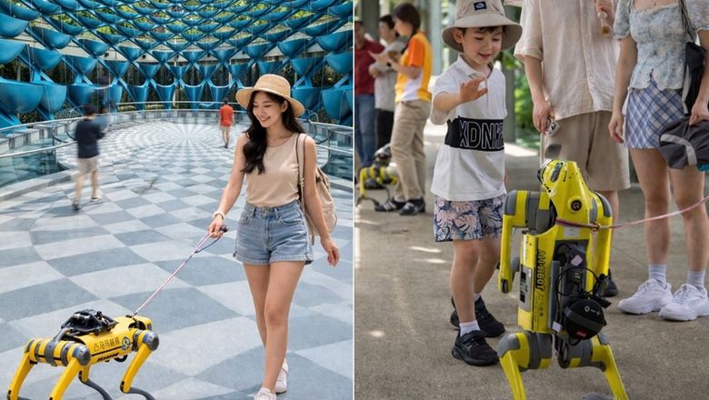 Visitors may book a complimentary robodog guide session at Sentosa.