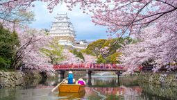 Travellers are seeking unique vantage points to view the cherry blossoms like nature walks, picnics, festivals, and boat tours.