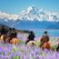 What young travellers prioritise in 2025