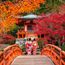 Japan shakes hands with Qatar in tourism collaboration