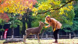 Japan is one of the top destinations for affluent Thai travellers.