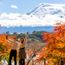 Why 9 in 10 APAC travellers refuse to cancel their holidays