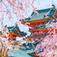Beyond the bloom: Visa analyses cherry blossom season