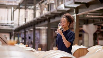 In its most popular form, winery tours can be considered as industrial tourism.