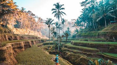 Experts believe domestic travel will still be a dominant theme in 2021 again, as vaccination progress in major source markets such as Europe have not been as expected.