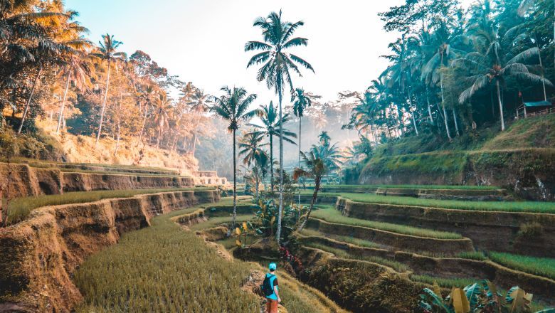 Experts believe domestic travel will still be a dominant theme in 2021 again, as vaccination progress in major source markets such as Europe have not been as expected.