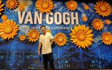 3D photowall with Van Gogh's iconic Sunflowers.