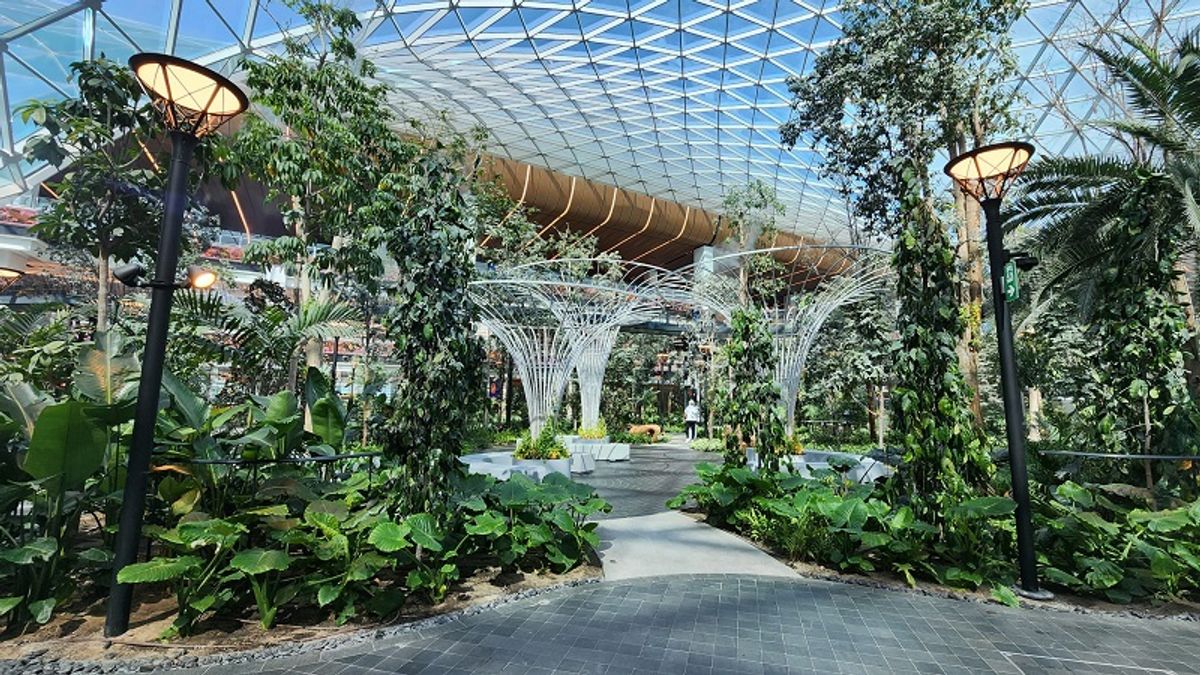 Hamad International Airport Becomes an Orchard