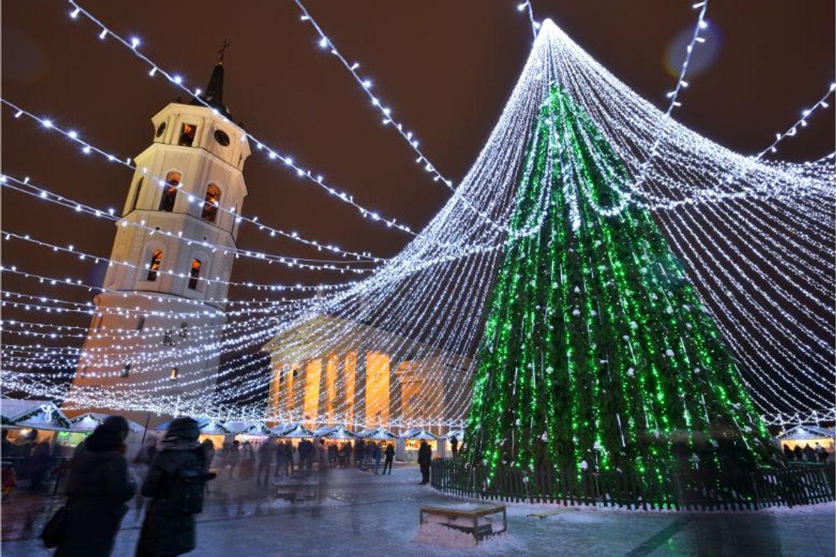 This city has the most beautiful Christmas tree in Europe Travel