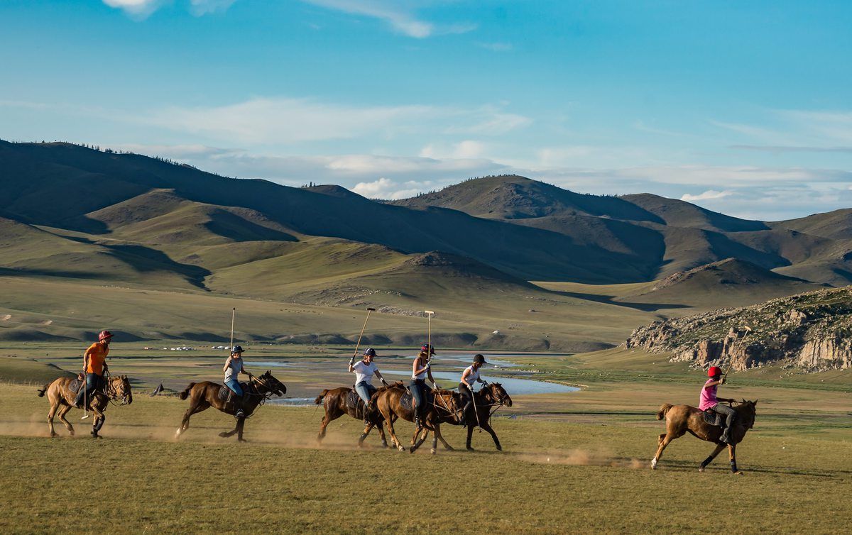 Saddle Sherpa HORSE AND TRAVEL 