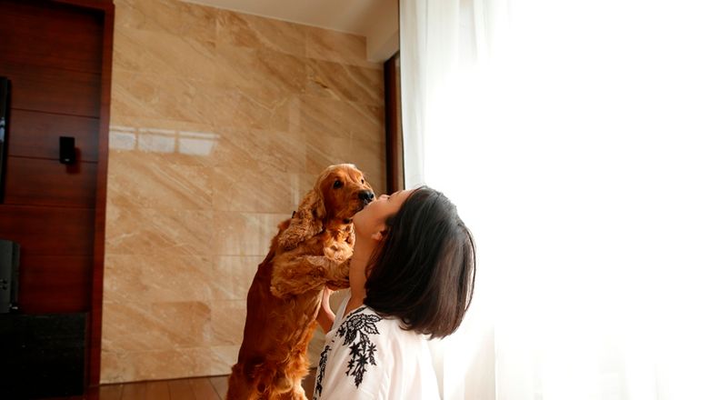 三亚美高梅度假酒店提供“携宠物犬入住”服务