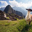 秘鲁旅游业持续高速发展 中国大陆游客数量增长20%