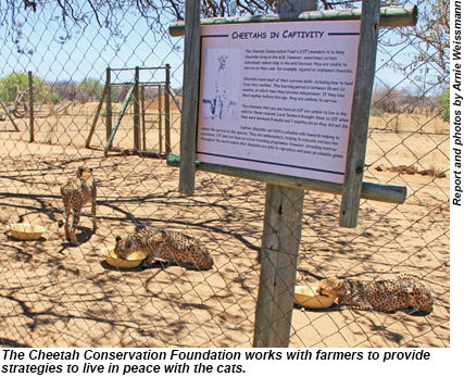 Cheetah Conservation Foundation