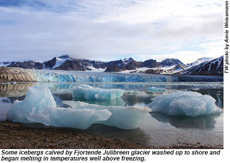 Some icebergs calved by Fjortende Julibreen glacier washed up to shore and began melting in temperatures well above freezing.