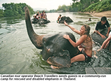 Beach Travellers sends guests to a community-run camp for rescued and disabled elephants in Thailand.