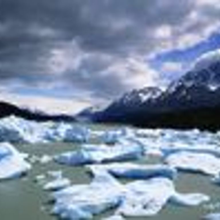 MSC Cruises Alaska Cruises