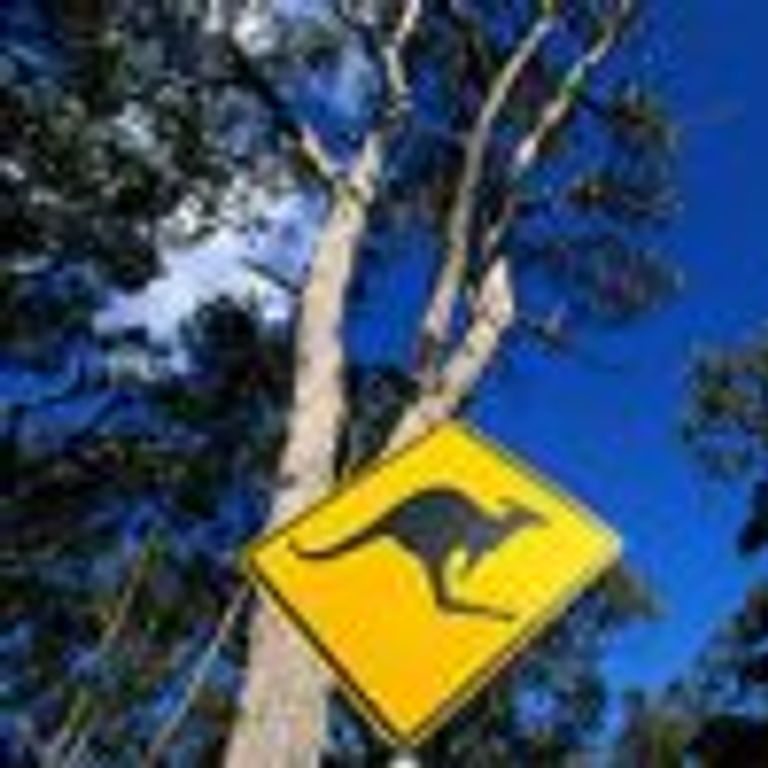 Carnival Cruise Line Australia & New Zealand Cruises
