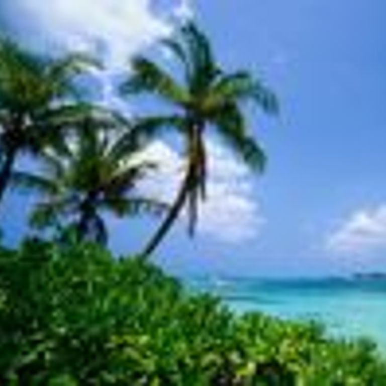 MSC Cruises Bahamas Cruises
