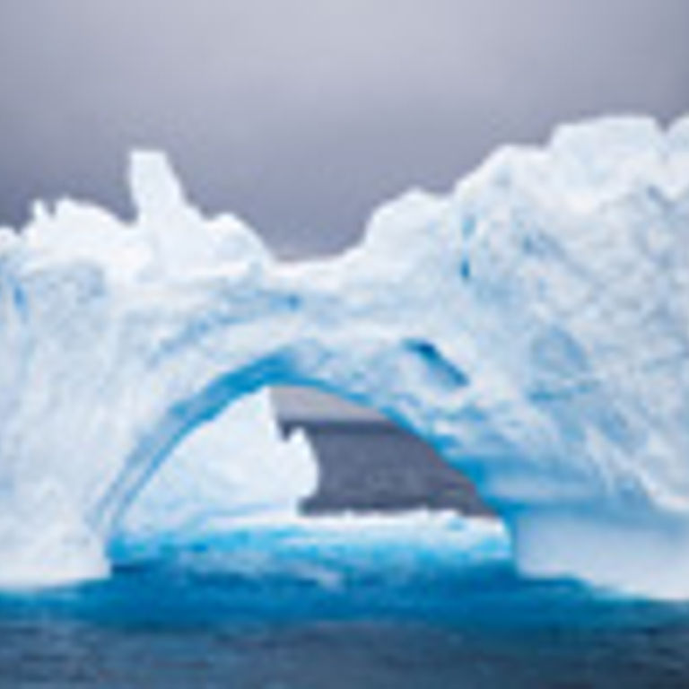 Holland America Line Antarctica Cruises