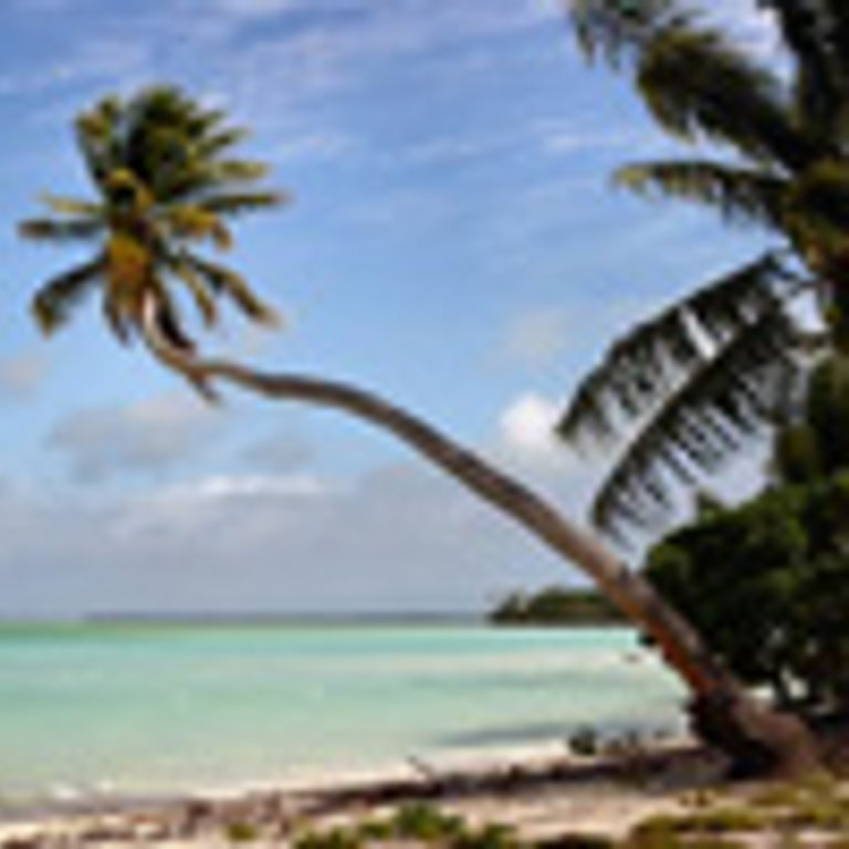Carnival Cruise Line Oceania & South Pacific Cruises