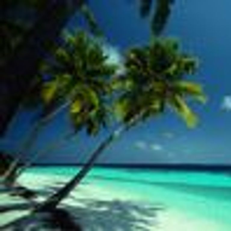 MSC Cruises Caribbean Western Cruises