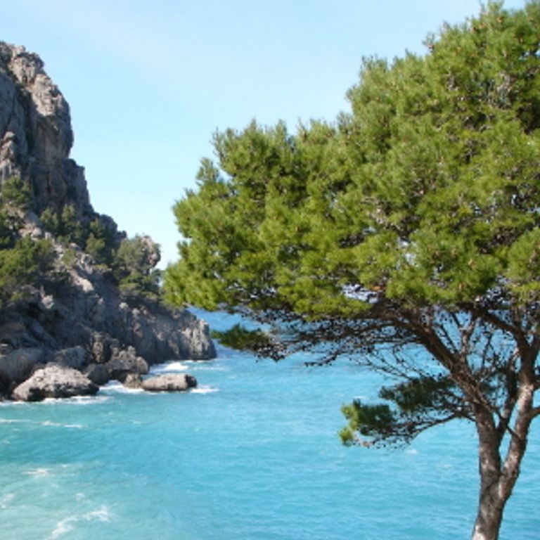 MSC Cruises Mediterranean Western Cruises