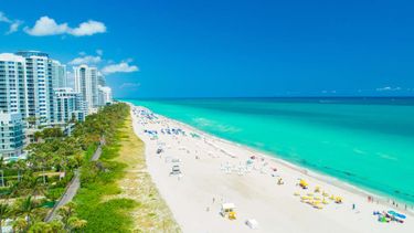 Top Travel Experiences in Miami