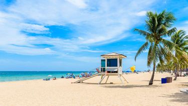Top Travel Experiences in Fort Lauderdale
