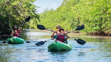 Sponsored: Top Travel Experiences in Miami