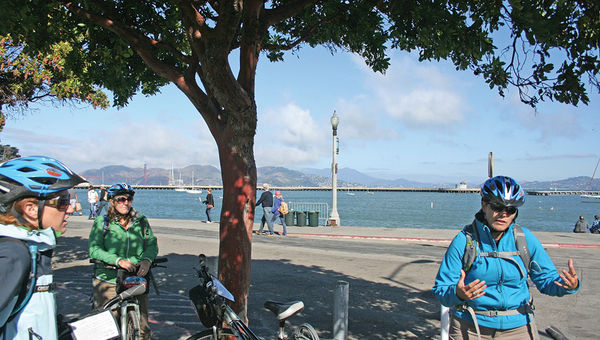 Freelance tour guide Diane Chase leads a G Adventures biking, hiking and kayaking tour through San Francisco and Napa Valley.