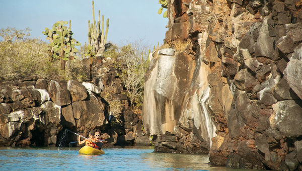 Sea kayaking ranks at the top of easy activities around Porto Ayora. Sea kayaking ranks at the top of easy activities around Porto Ayora.