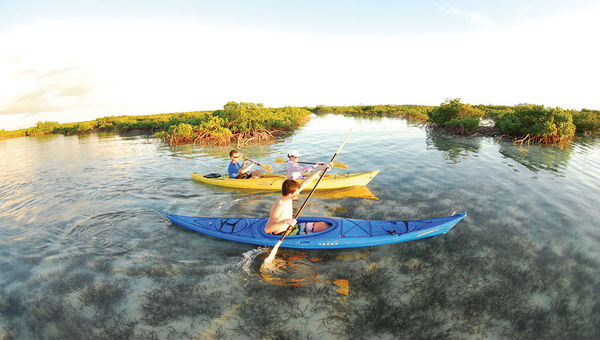 A kayaking tour on Providenciales’ Mangrove Cay with Big Blue.
