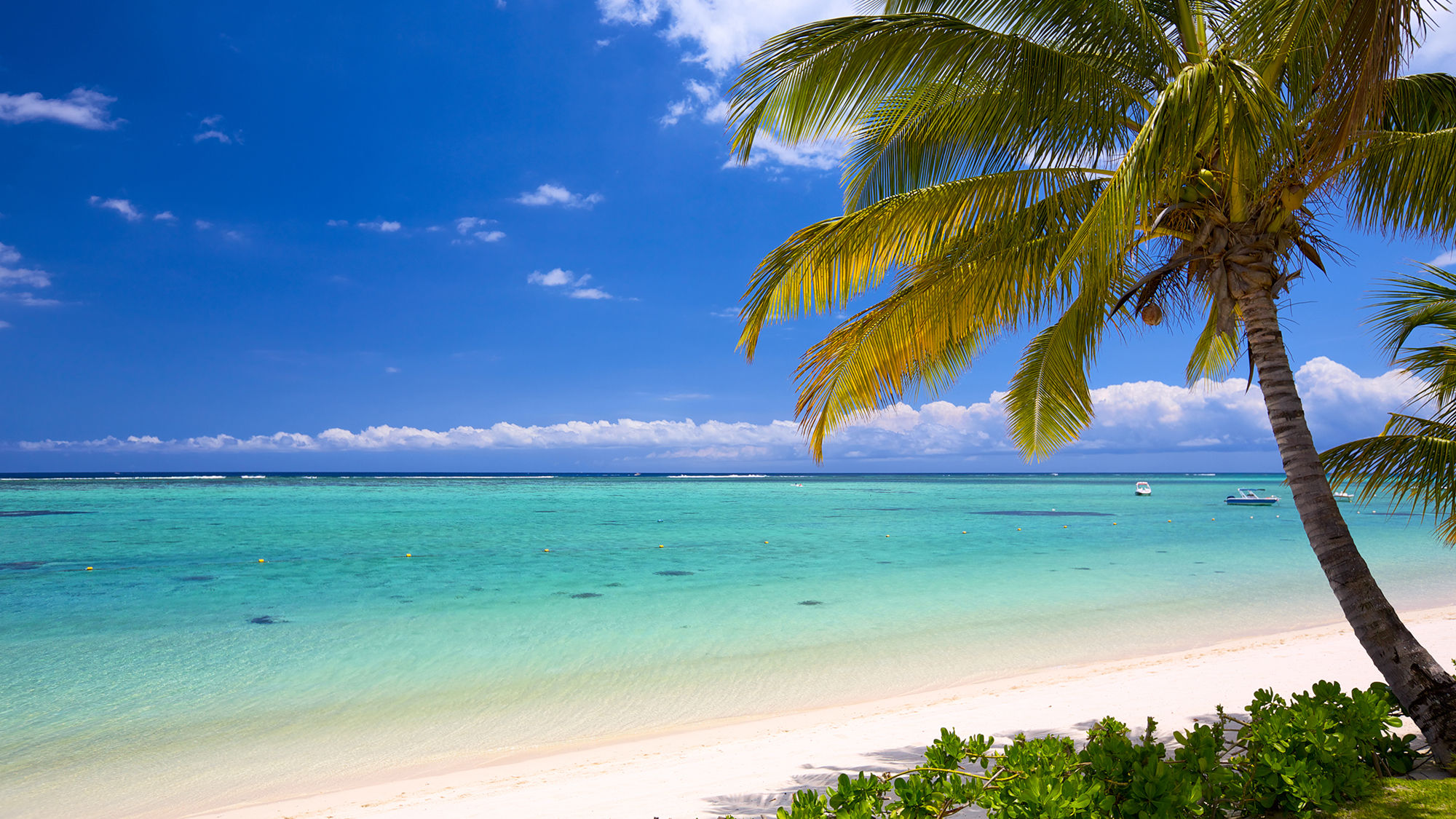 A white sand beach on Mauritius.
