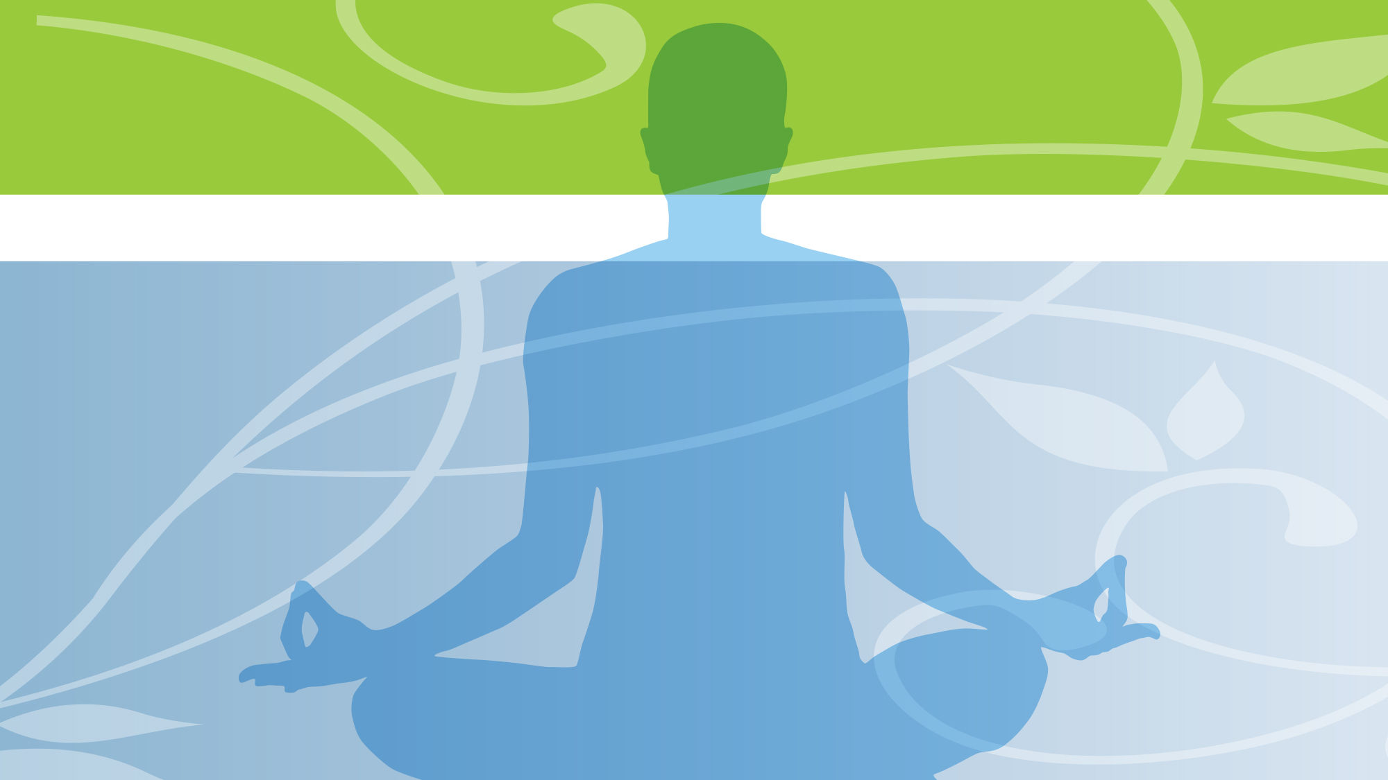All is wellness