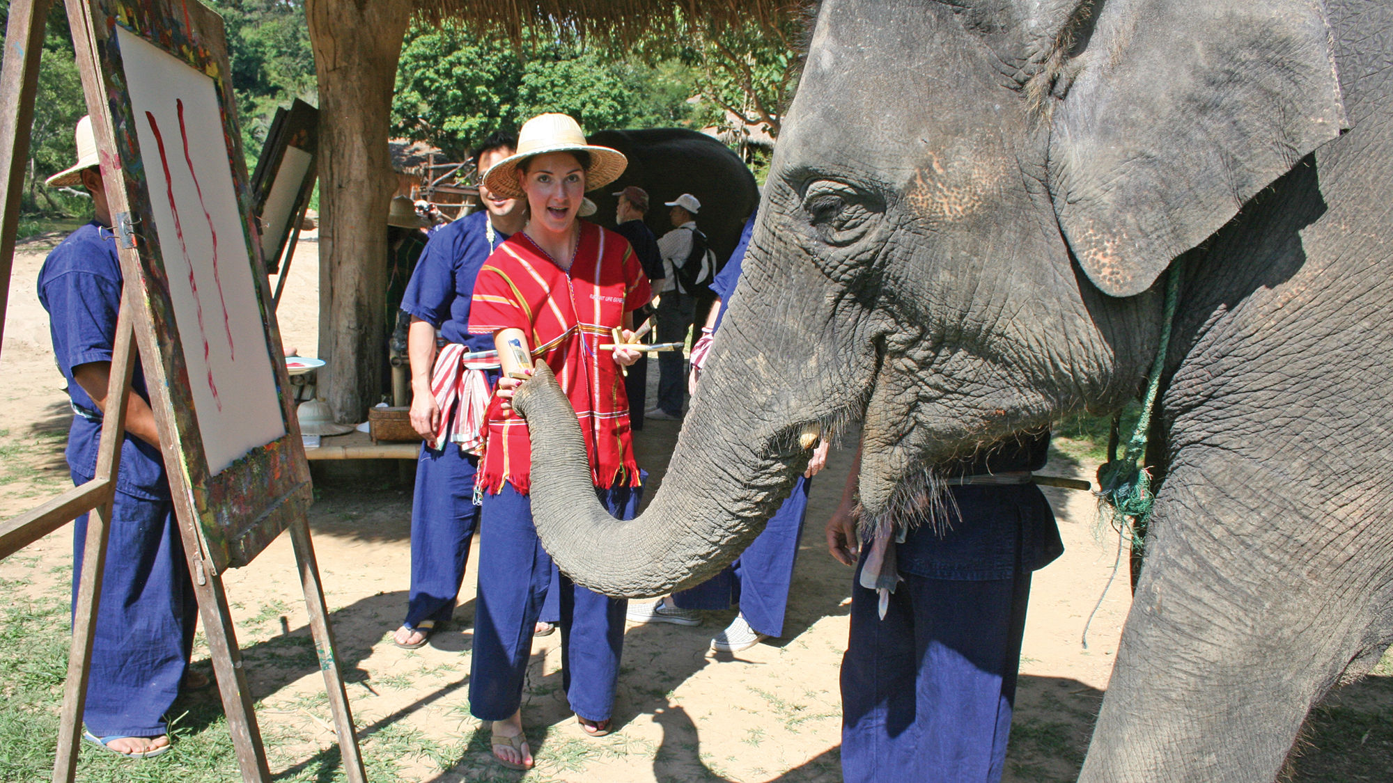 Travel Weekly's Michelle Baran watches as an elephant in Thailand paints.