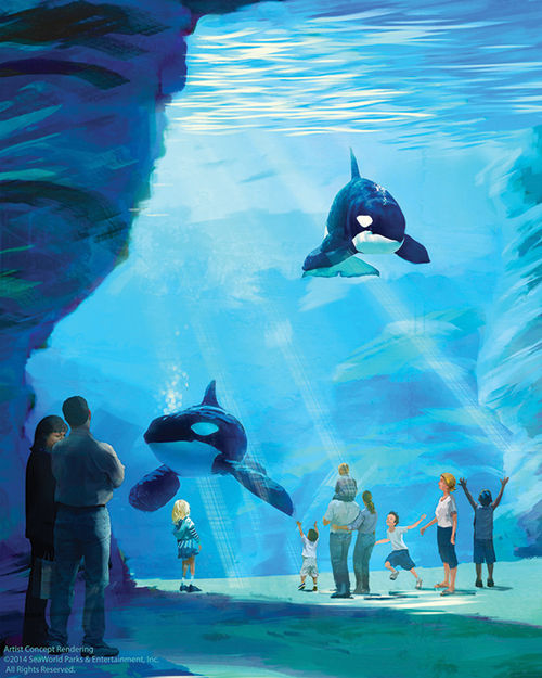 A rendering of Blue World Project at SeaWorld, which will offer larger environments for orcas at its three theme parks. A rendering of Blue World Project at SeaWorld, which will offer larger environments for orcas at its three theme parks.