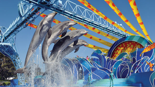 The Blue Horizons show at SeaWorld San Diego. The Blue Horizons show at SeaWorld San Diego.